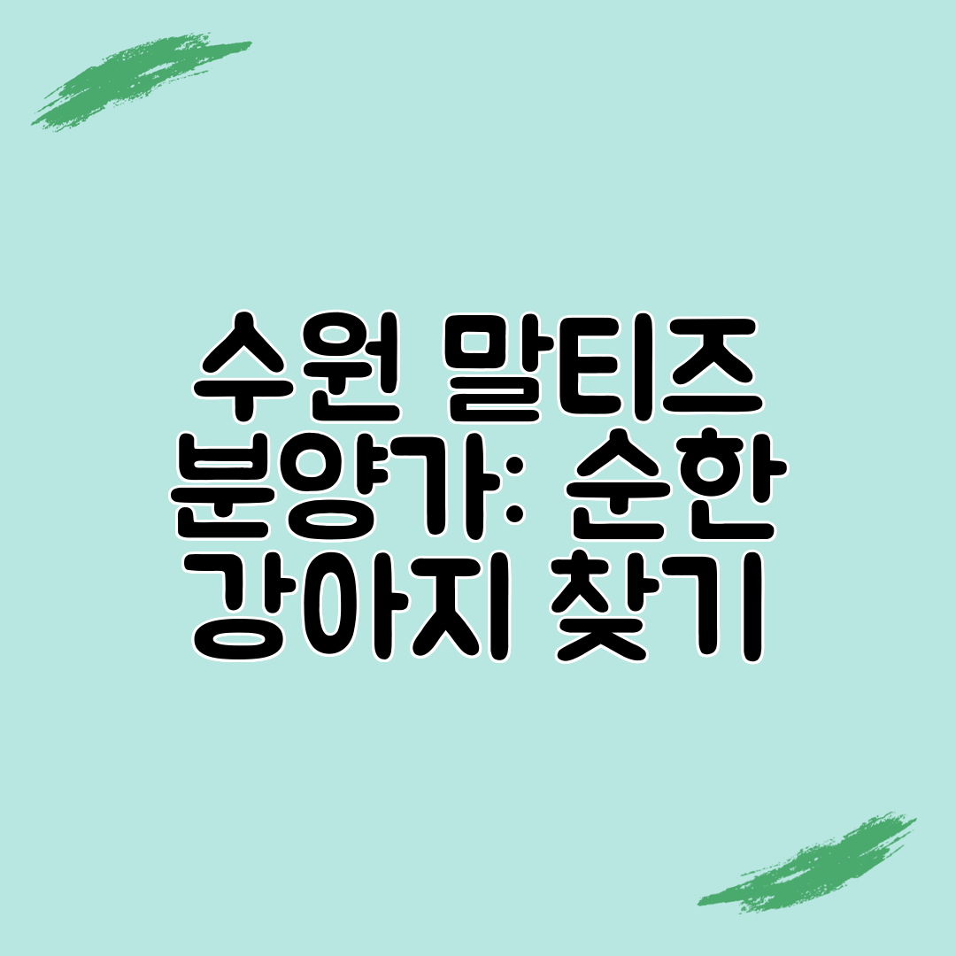 수원 말티즈 분양가 순한 강아지 찾기