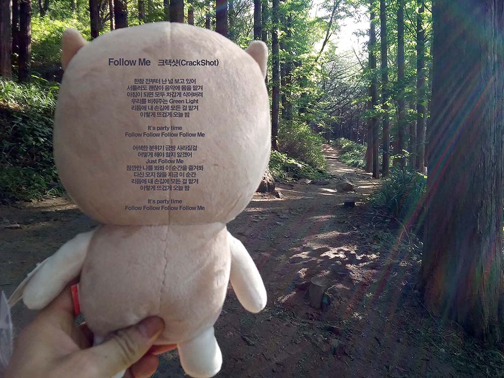 크랙샷(CrackShot)의 '따라와!(Follow Me)