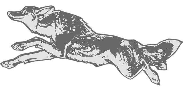 청년도약계좌 추천