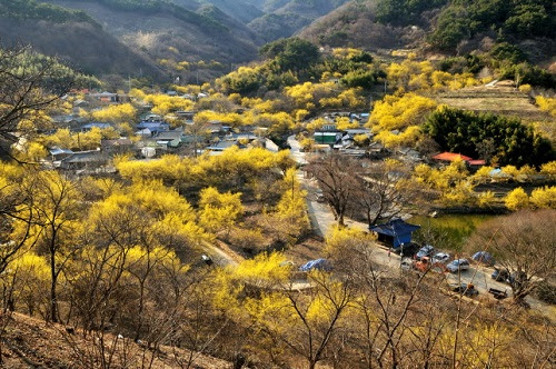 3월 국내 여행지 추천