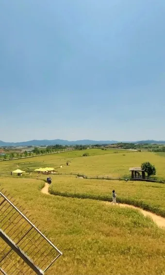 고창 맛집 베스트10 숨겨진 나만 아는 맛집_21