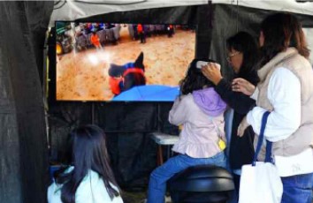 렛츠런파크 부산경남 말 및 VR 체험