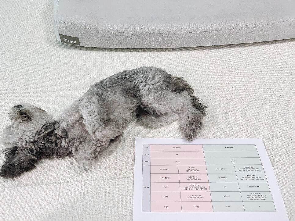 펫보험 비교