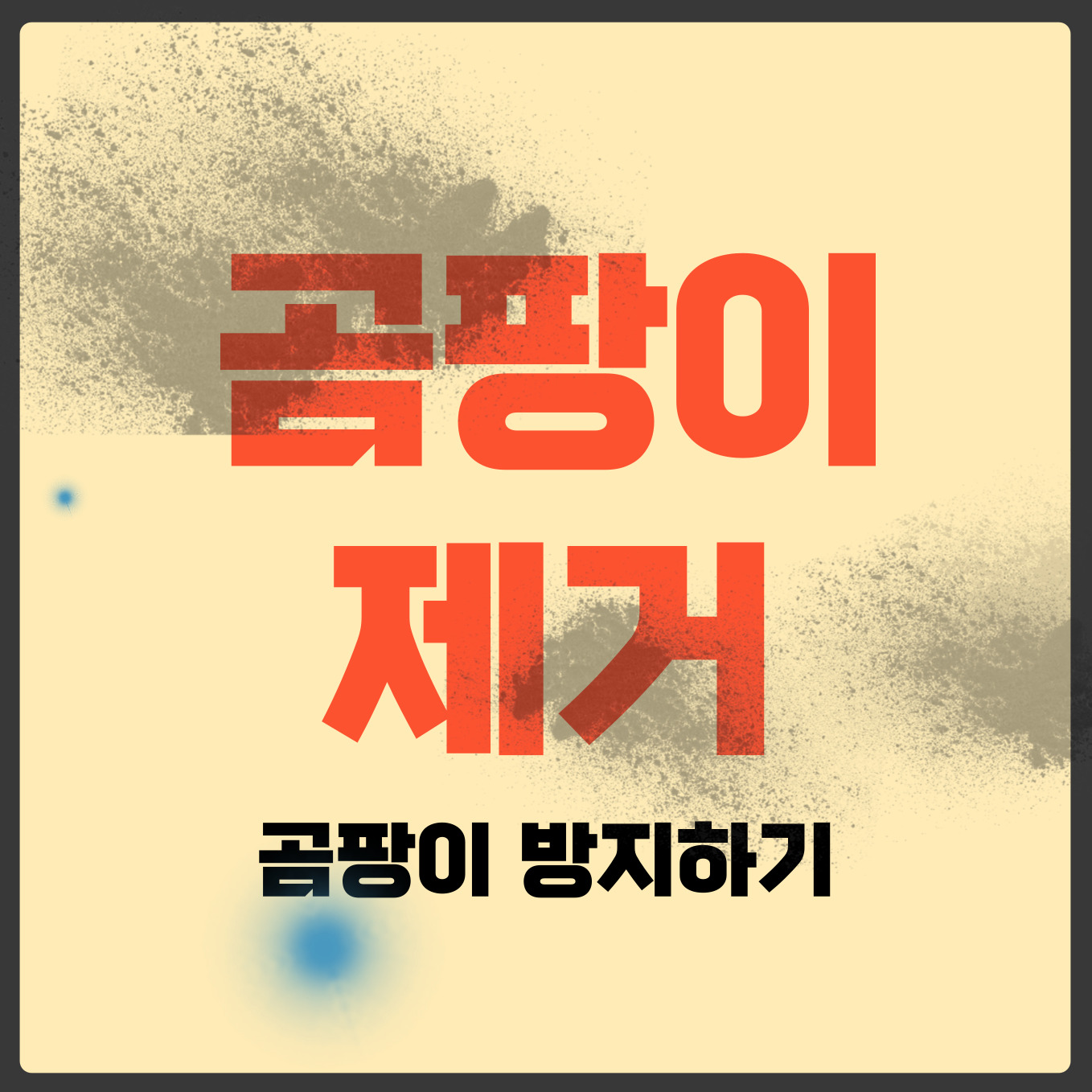 곰팡이 제거