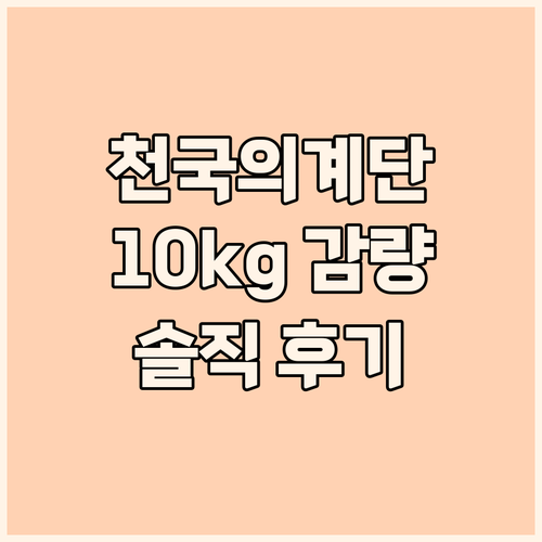 브리핏 천국의계단 솔직 후기 10kg..