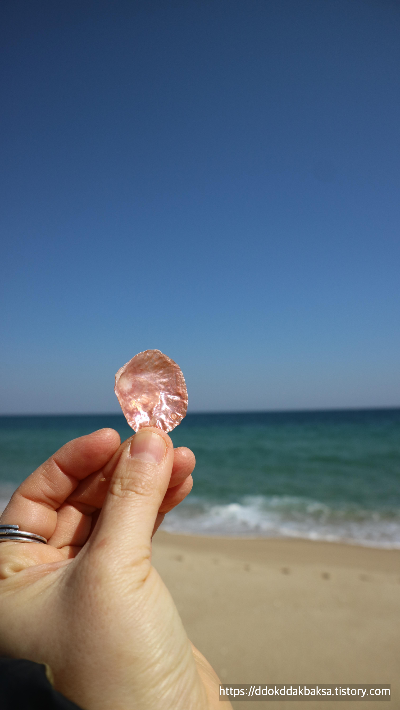 육아하는 엄마의 개인시간에 대해 이야기 하고 있습니다. 이전 글들에서 아이가 신생아일때 엄마의 개인시간을 어떻게 확보할 수 있는지, 틈새 시간을 어떻게 활용할 수 있는지 알아보았고 이어서 아이가 유아일때 엄마에게 생기는 짧은 개인시간을 어떻게 알차게 보낼 수 있는지 이야기 해보았습니다. 이번 글에서는 아이가 제법 자라서 초등학생이 되었을때 엄마에게 생기는 개인시간을 어떻게 유의미하게 보낼 수 있을지에 대해서 현실 상황 고증과 함께 시간 활용법에 대해 이야기해 보겠습니다. 마찬가지로 현재 두 아이가 사춘기인 저의 경험에 비추어 풀어내는 이야기들입니다. 이야기 속에는 '내가 이랬더라면 더 좋았겠다'는 아쉬움부터 '역시 이렇게 하길 잘했어'의 셀프 칭찬을 해줄만한 아이디어들이 골고루 들어있습니다. 그 당시에는 몰랐지만 지나고 나서야 반추할 수 있는 것들이지요. 지금 이 순간 또한 나중에 시간이 더 흘러서는 지난 이야기들이 되겠지요. 자, 그럼 아이가 초등학교 저학년일때 엄마의 개인시간은 어떨지 이야기 시작합니다.




photo by 똑딱박사엄마 / 바닷가에는 수 많은 조개껍질이 있습니다. 그런데 같은 것이 하나도 없어요. 모두 각양각색의 조개껍질들, 그래서 다채롭고 더 사랑스러워요. 우리 아이들처럼요.