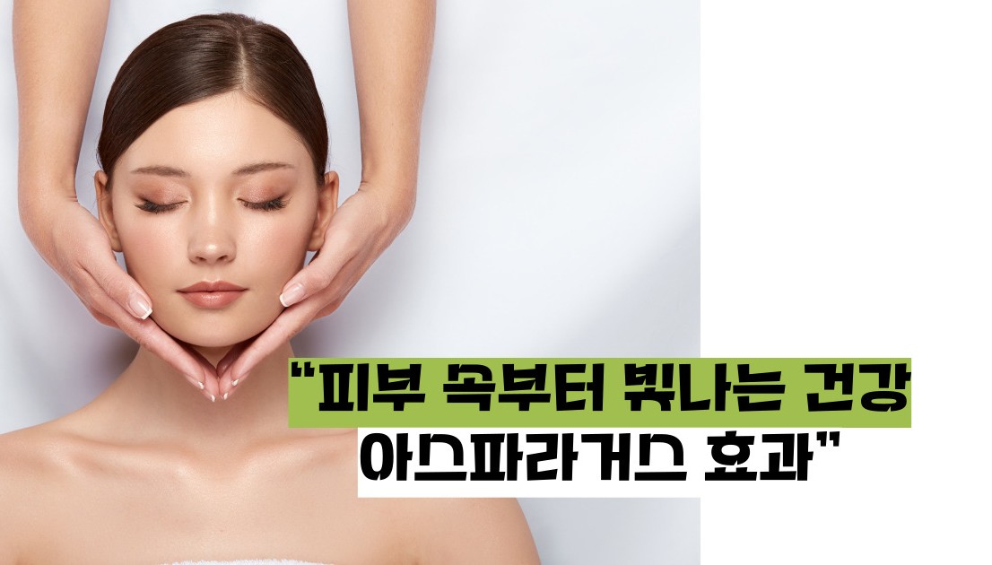 아스파라거스 효능
