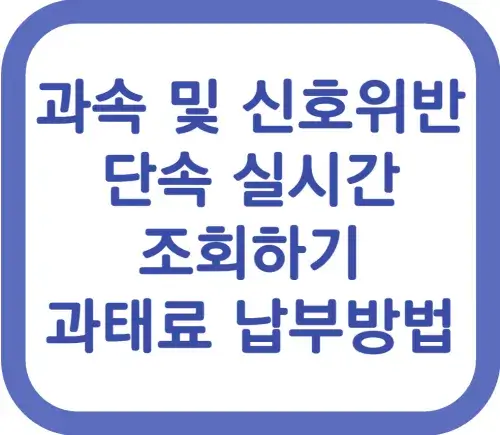 과속 및 신호위반 단속 실시간 조회하기