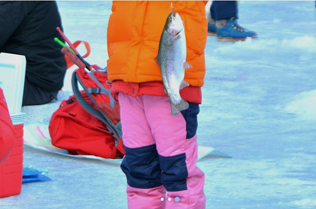 빙어축제 청평 빙어송어축제 맛집 꿀팁 청하가든막국수 청평우대갈비 도선재 화가장 해낙전 가평청평본점 드림닭갈비