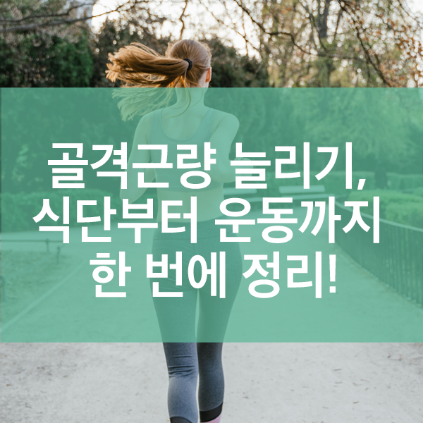 골격근량 늘리기, 식단부터 운동까지 한 번에 정리!