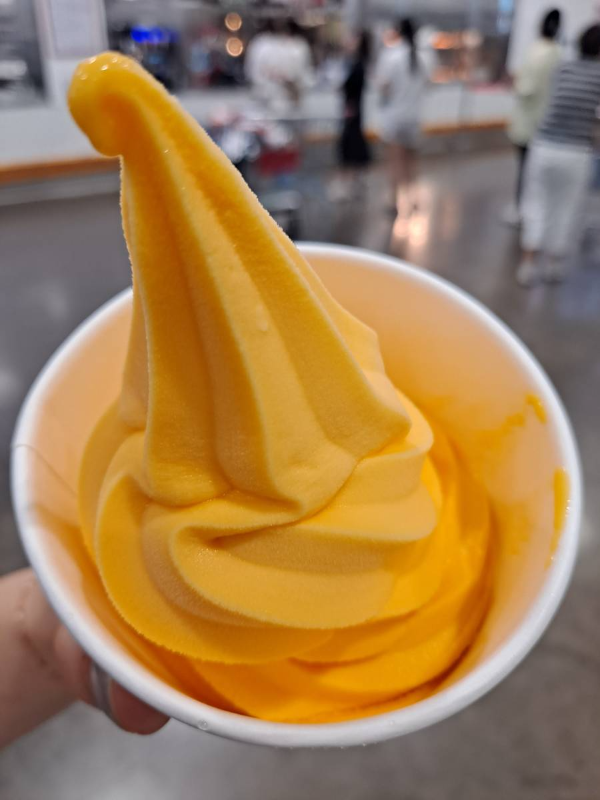 고깔모양의 소르베