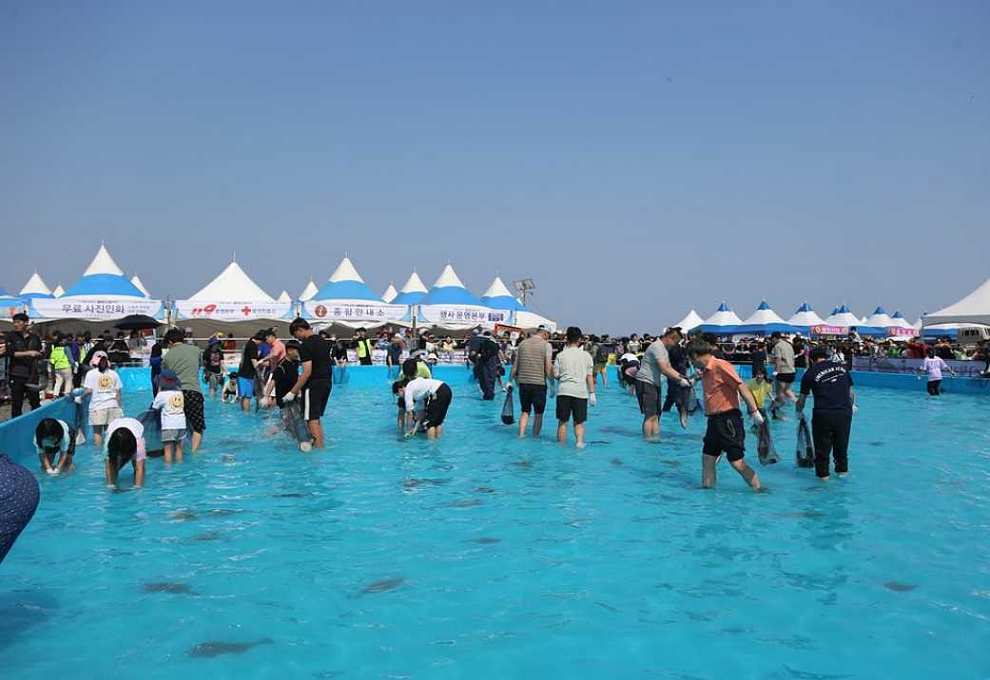 서천 자연산 광어 도미 축제 기본정보