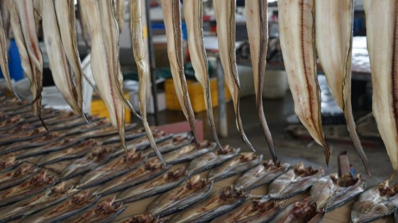 과메기 보관 방법