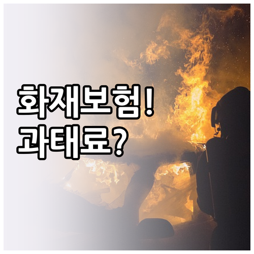 다중이용업소 화재보험 가입대상과 과태..