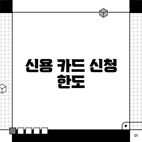신용 카드 신청 한도