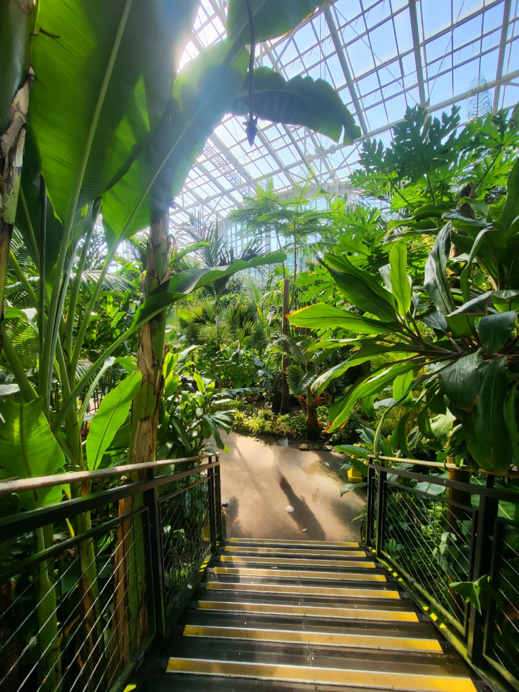 세종 아이와 가볼 만 한 곳 (세종수목원)