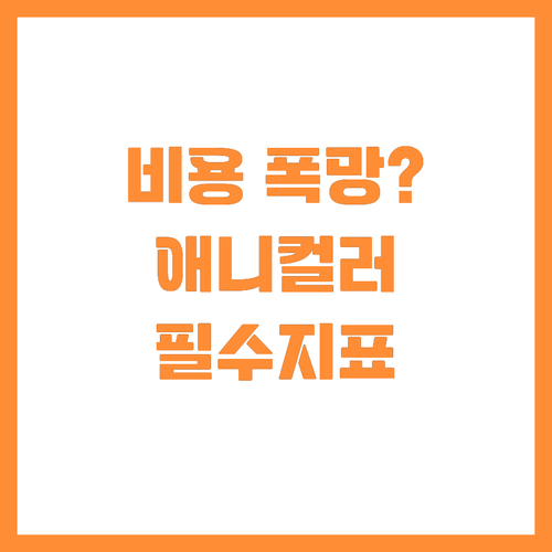 비용 관리 실패한 애니컬러 투자 전 ..