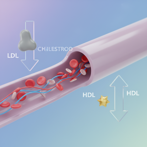 콜레스테롤 관리부터 혈액 순환 개선까지&amp;#44; 폴리코사놀의 핵심 효능 3가지