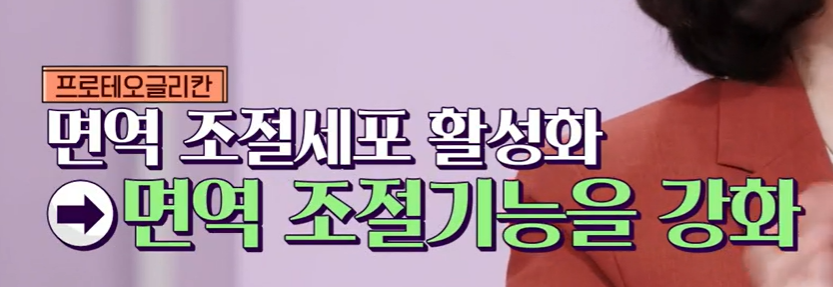 프로테오글리칸 효능