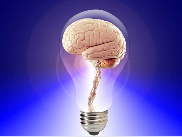 모야모야병 원인 증상