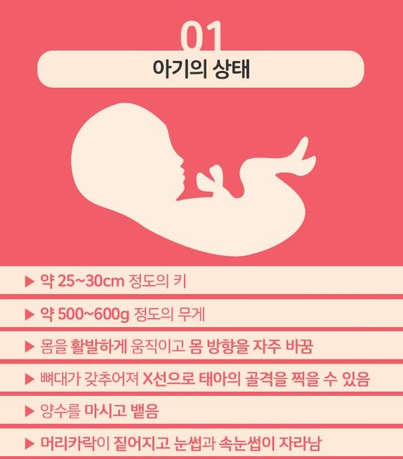아기의 상태