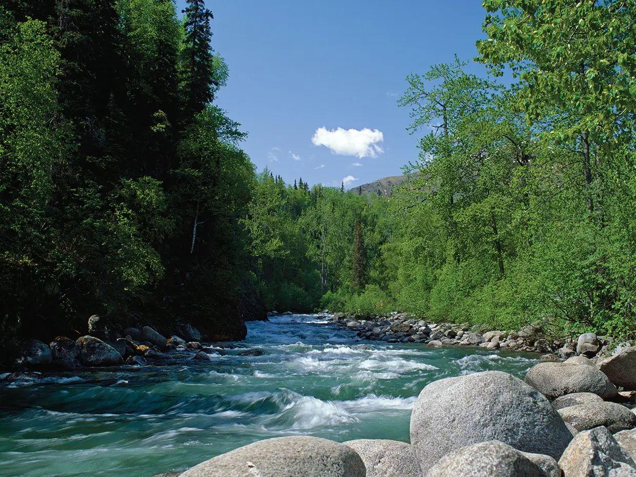 물에 빠지는 꿈 해몽 총정리|상황별 의미와 심리 분석