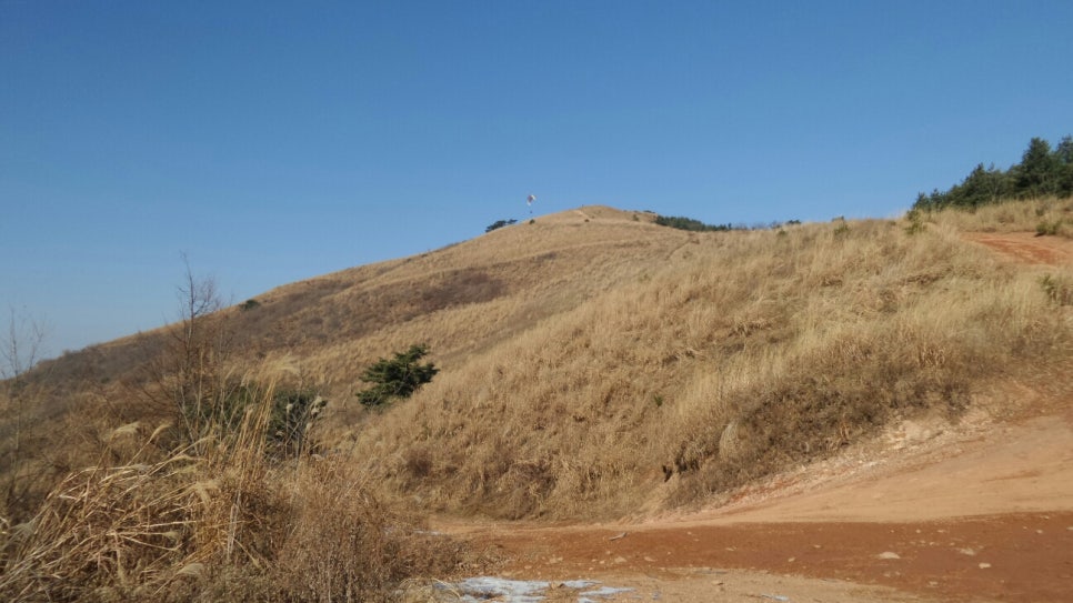 100대 명산 등산하기 다섯번째 유명할 만큼 아름다운 산 유명산 신령스러운 전설과 자연미, 역사문화가 어우러진 산 용문산 연계 산행