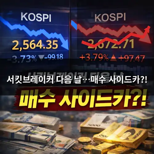 서킷브레이커와 매수 사이드카