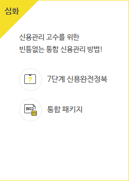 신용점수 조회