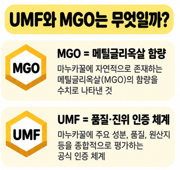 MGO와 UMF가 무엇을 뜻하는지 꿀병과 인증 배지 아이콘으로 설명한 카드