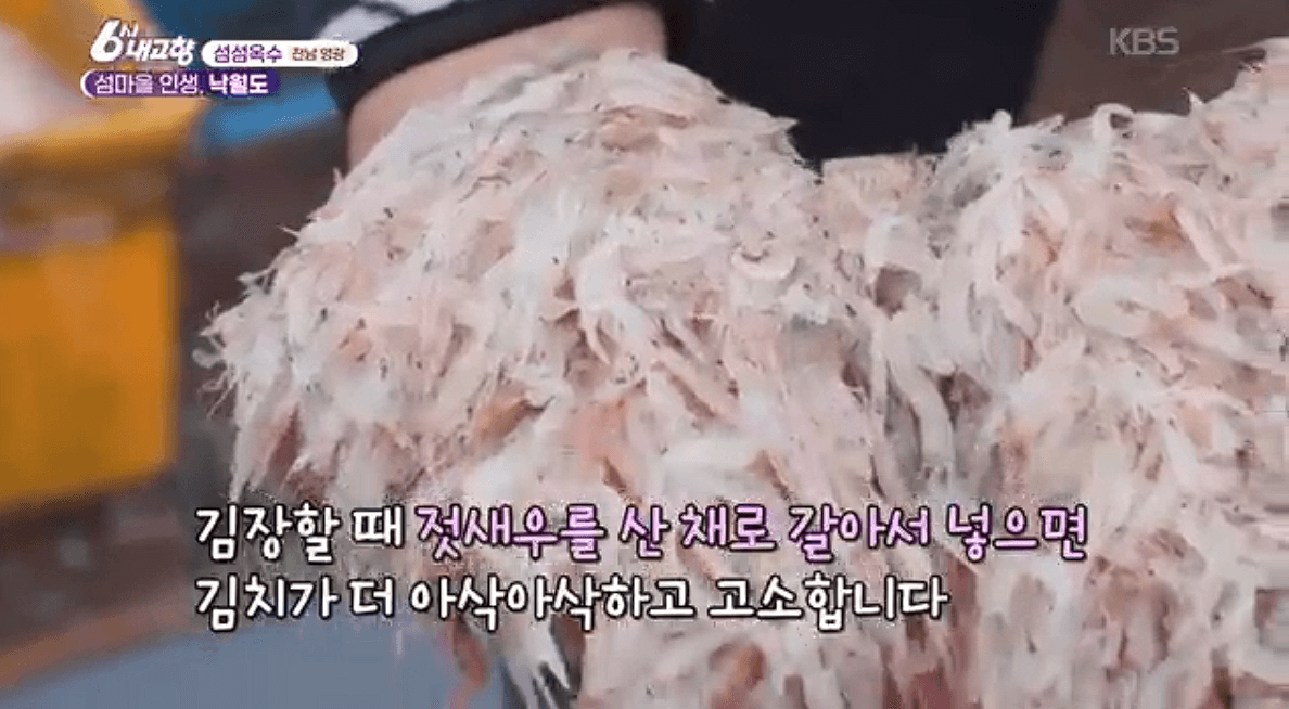 전남 영광 낙월도 젓새우 수석 민박