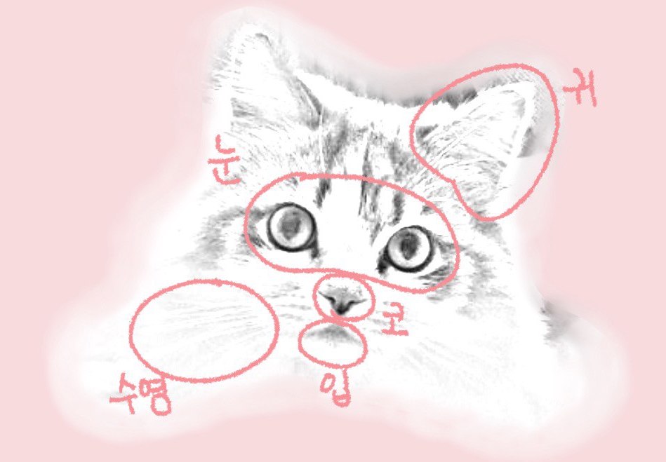 고양이얼굴 일러스트