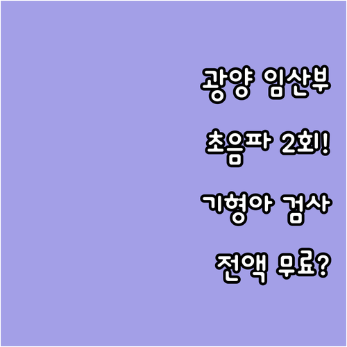 기형아 검사 초음파 2회 무료 202..
