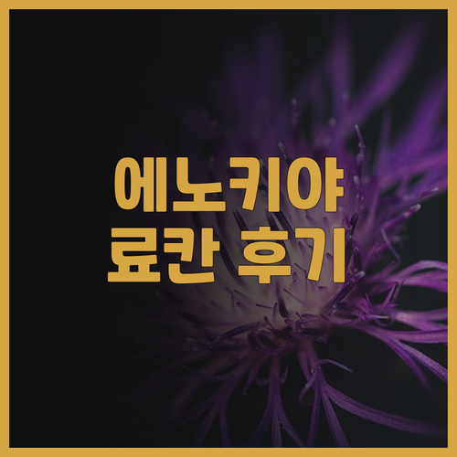 에노키야 료칸 후기 깨끗한 객실과 풍