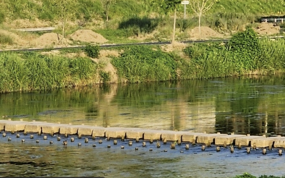 Alt 속성 문제 해결 설명 이미지