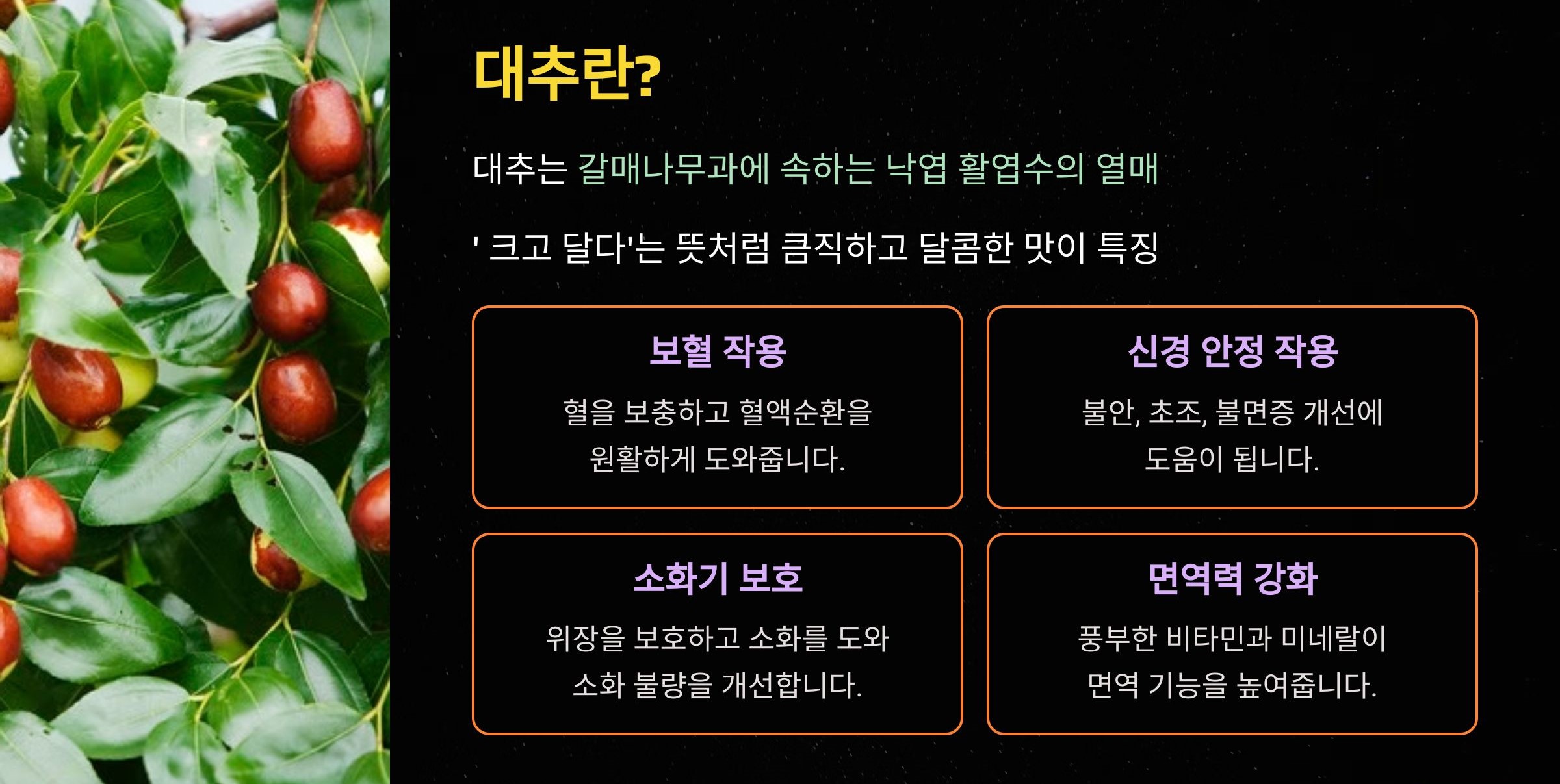 대추의 효능