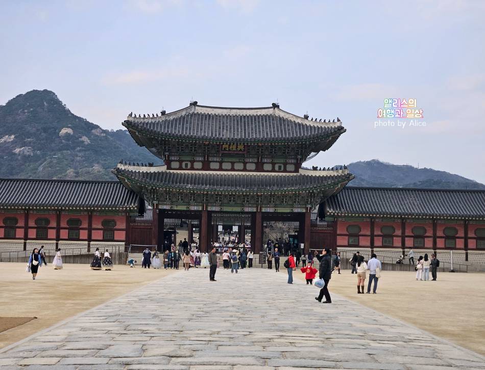 서울 벚꽃 명소 나들이 추천 경복궁, 덕수궁 4월 개화 상황 서울 가볼만한곳