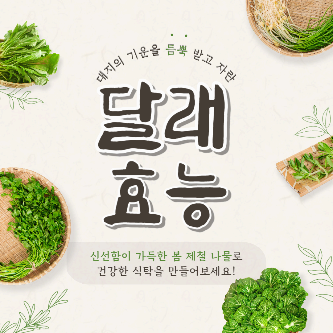 달래 효능 완벽 정리! 혈액순환, 면역력 강화까지 봄철 대표 건강 나물