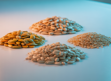 아르기닌의 효능