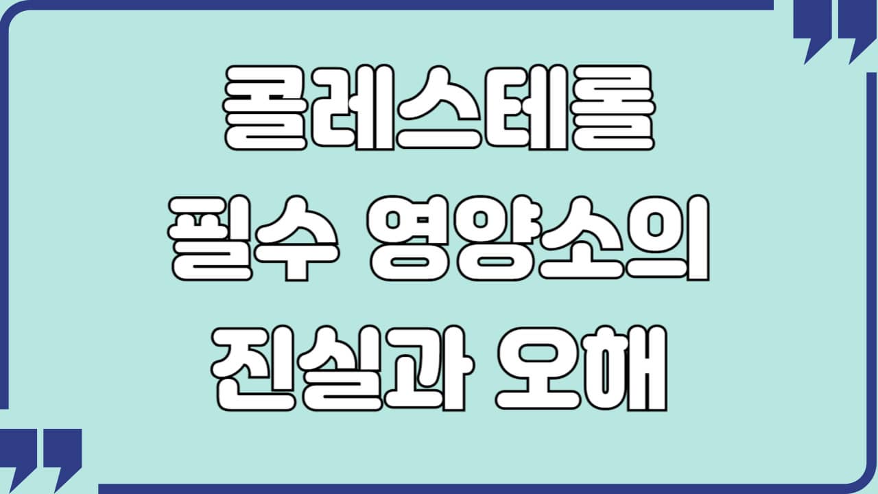콜레스테롤: 필수 영양소의 진실과 오해