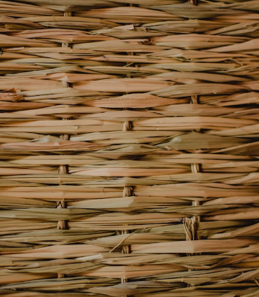 죽세공의 전통과 현대적 변용: 대나무로 빚어낸 한국의 미