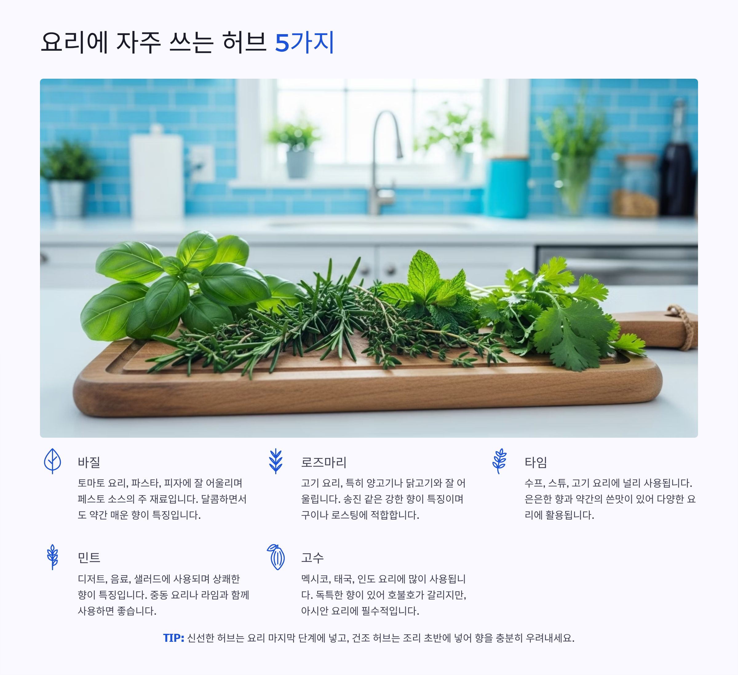요리에 자주 쓰는 허브 5가지