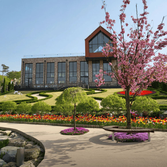 용인 자작나무숲