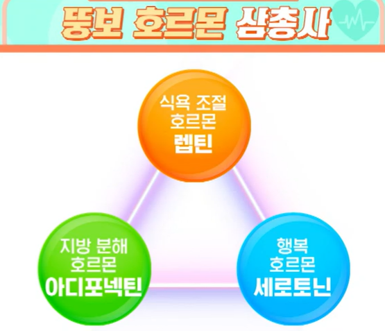 시서스 효능