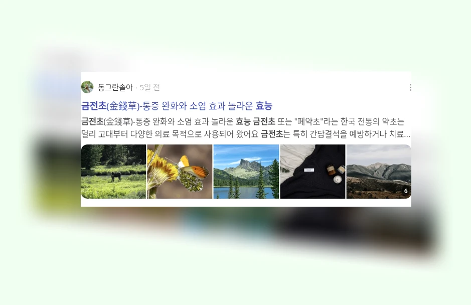 금전초 효능_2_subsection