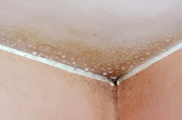 결로가 발생한 천장 모서리