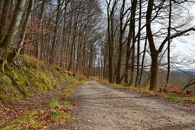 강원도 걷기 여행 추천