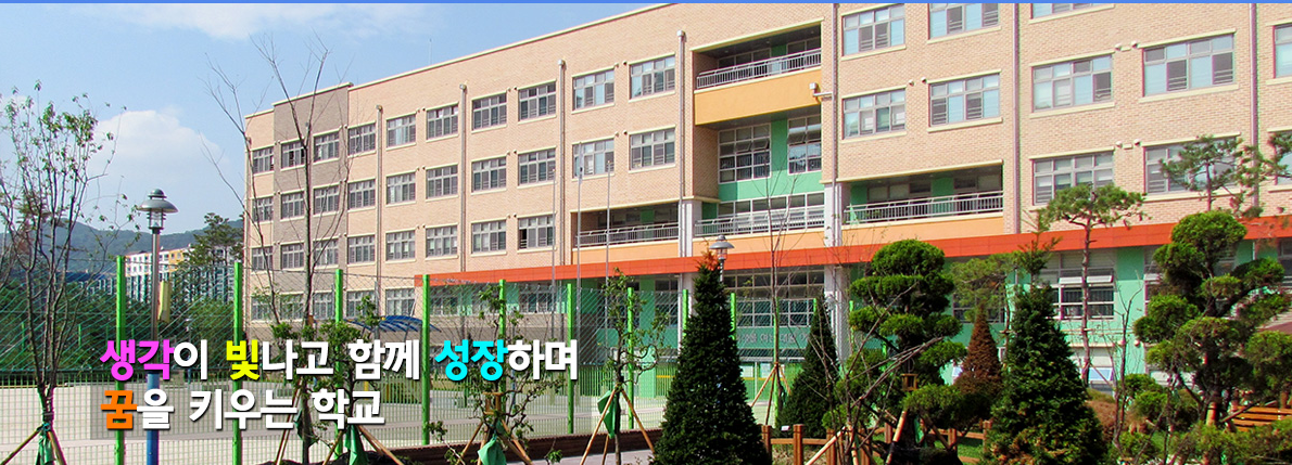서울대왕초등학교 축구 농구 대관