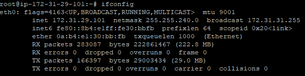 ifconfig.png
