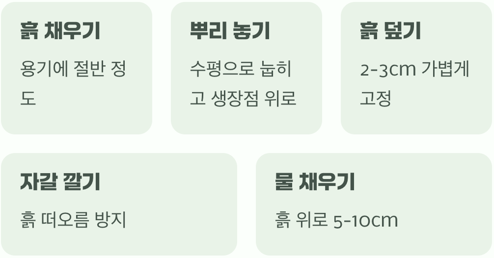 조심스러운 첫 만남, 뿌리 심기